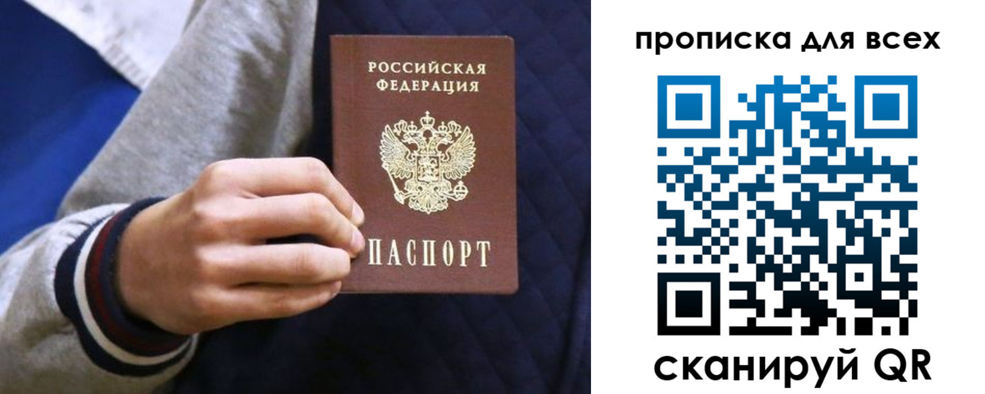 прописка гарантия в Звенигово