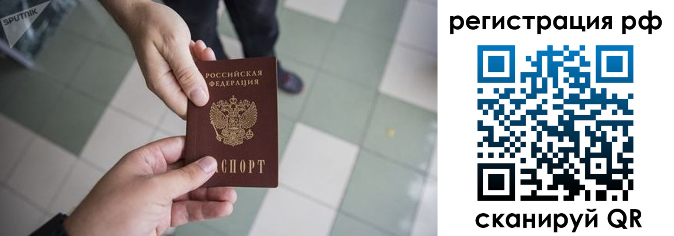 прописка для работы в Звенигово